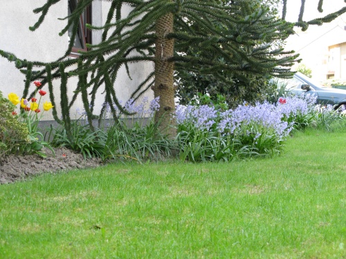 bl&Atilde;&frac14;hender Garten2