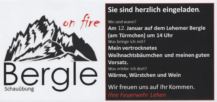 bergle 2019