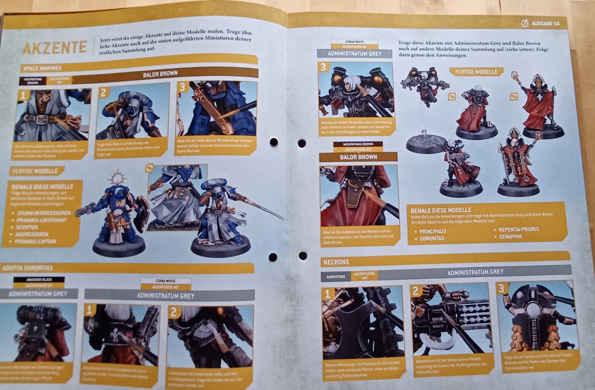 wp-17050641900568492583556187784424