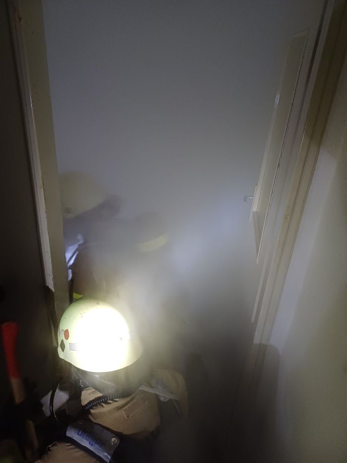 wp-17078416512036778004636327522598