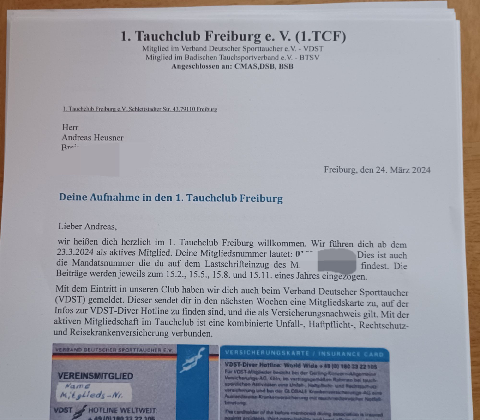 wp-17114680377928931808380206931859