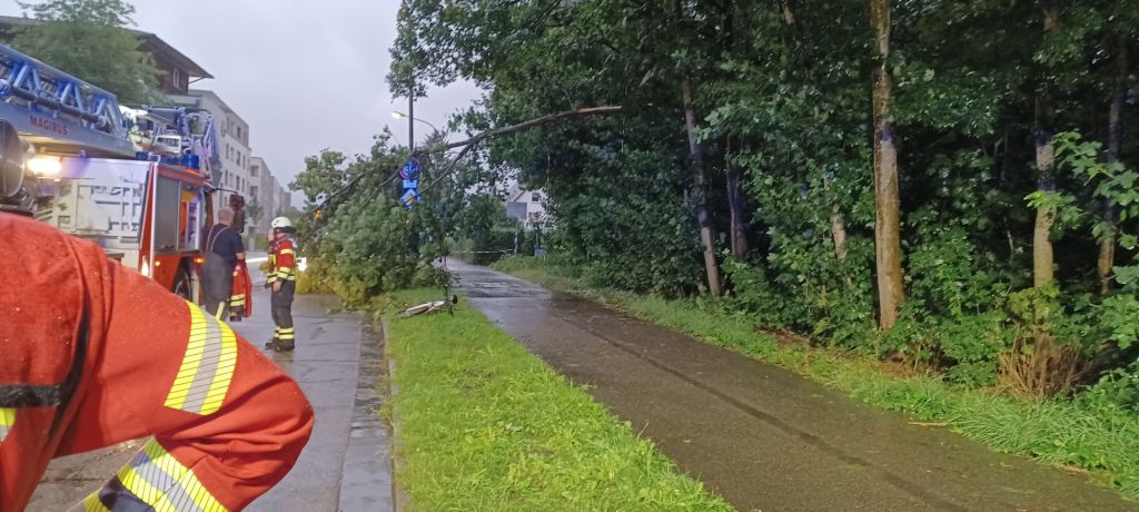 Zusatzübung Schaum &&nbsp;Einsatz