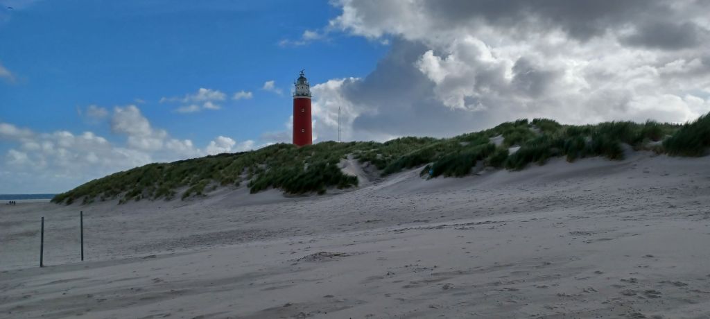 Texel
